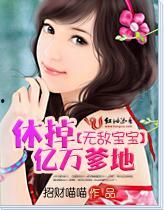 吃瓜红袖小说娱乐圈,红袖吃瓜记