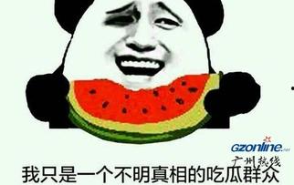 娱乐吃瓜酱网络烂梗,盘点那些让人笑到肚子疼的网络烂梗