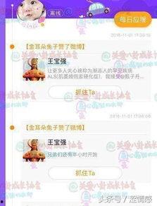 娱乐吃瓜版微博,吃瓜群众热议的幕后故事