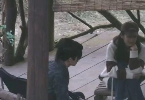 吃瓜娱乐任嘉伦完整版,揭秘明星幕后趣事