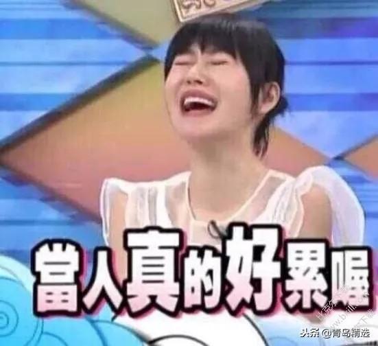 娱乐圈吃瓜猪头是谁啊