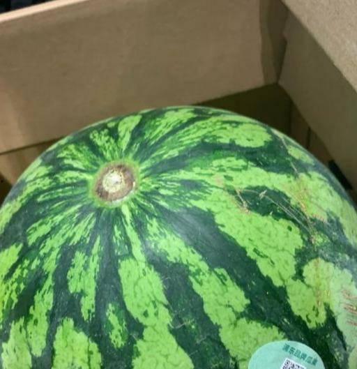 吃瓜娱乐间真假,真假吃瓜，真相大白